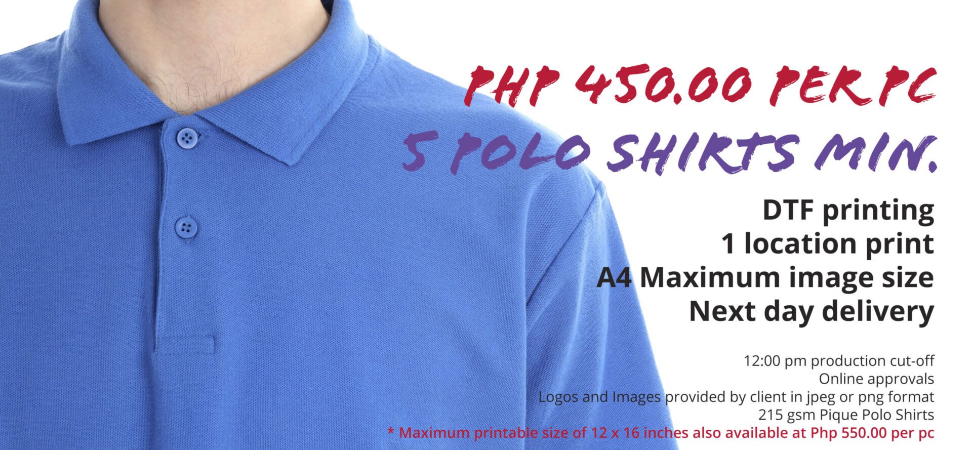 5 Polo Shirts Promo