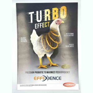 Lallemand Animal Nutrition Effixience Flyers #vjgraphicsprinting Helping the poultry sector #growthroughprint #ipublishph #PrintItYourWay #offsetprinting #digitalprinting www.vjgraphicarts.com